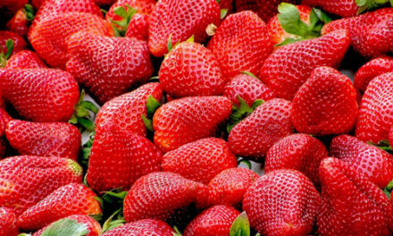 Capsunile in alimentatie