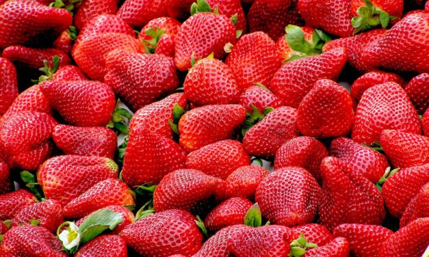 Căpșunile în alimentație: beneficii reale, mituri și cum să le consumi corect