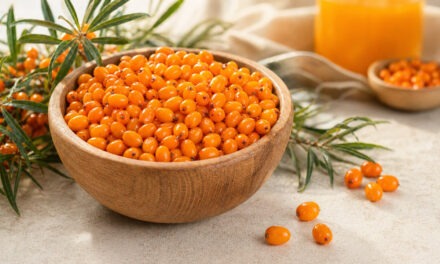 Cătina: beneficii reale pentru sănătate, imunitate și frumusețe