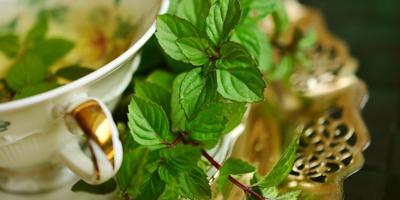 Cum scapam de respiratia grea