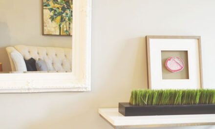 Cum improspatam in mod natural aerul din locuinta