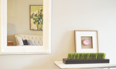 Cum să împrospătezi în mod natural aerul din locuință: soluții simple care chiar ajută