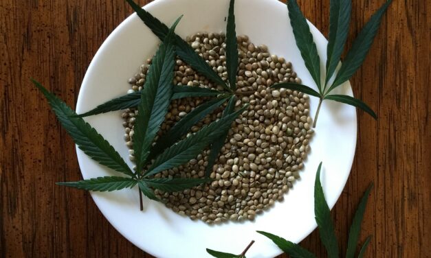 Beneficiile semintelor de canepa
