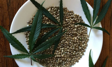Beneficiile semintelor de canepa